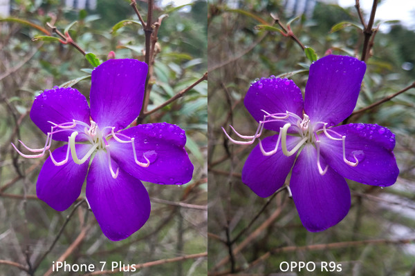 我曾嘲笑Apple Pencil 现在工作离不开它