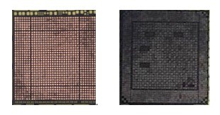 骂声越多买的越多?iPhone6凭什么破预售纪录 骂声越多买的越多?iPhone6凭什么破预售纪录