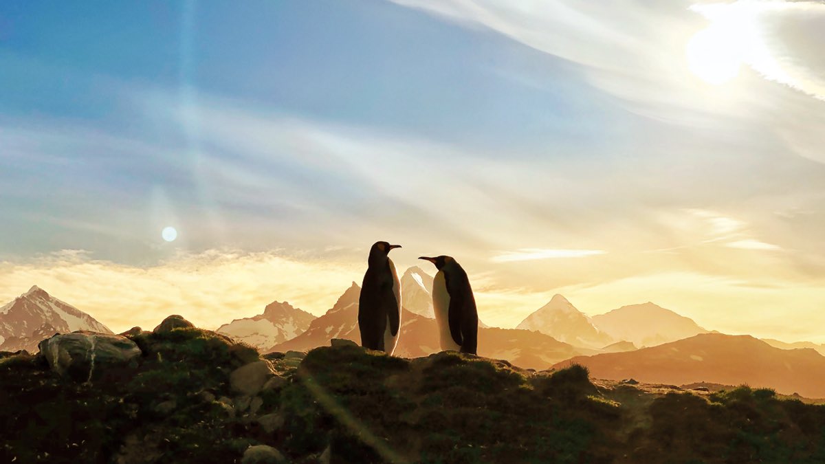 外媒分享 Cybertruck 为基础改装的 iPhone 11 Pro 上手图