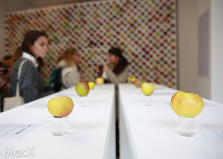 iOS 17 支持添加更多公交/银行卡，直至 iPhone 芯片空间占满 