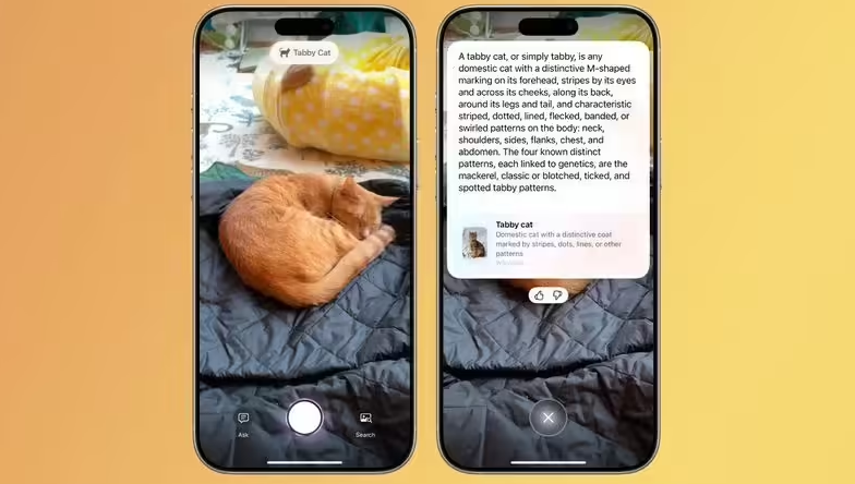 消息称苹果 iPhone 15 Pro 机型新增泰坦灰配色，替代金色