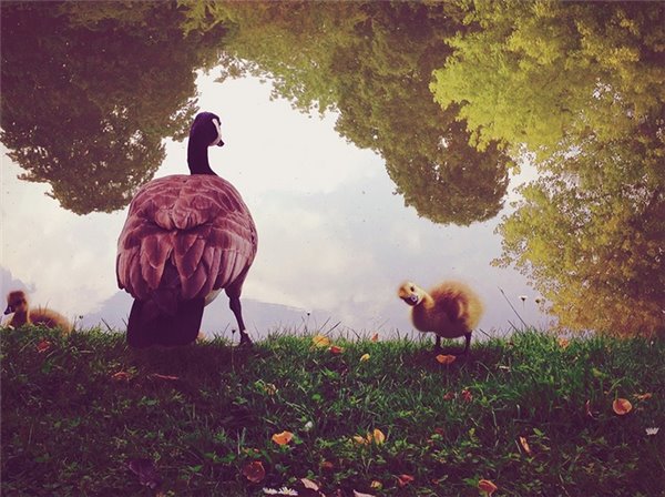 苹果iPhone7将于9月16日正式上市 耳机接口已消失 苹果iPhone7将于9月16日正式上市 耳机接口已消失