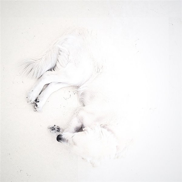 iPhone有哪些方面远不如国产手机？