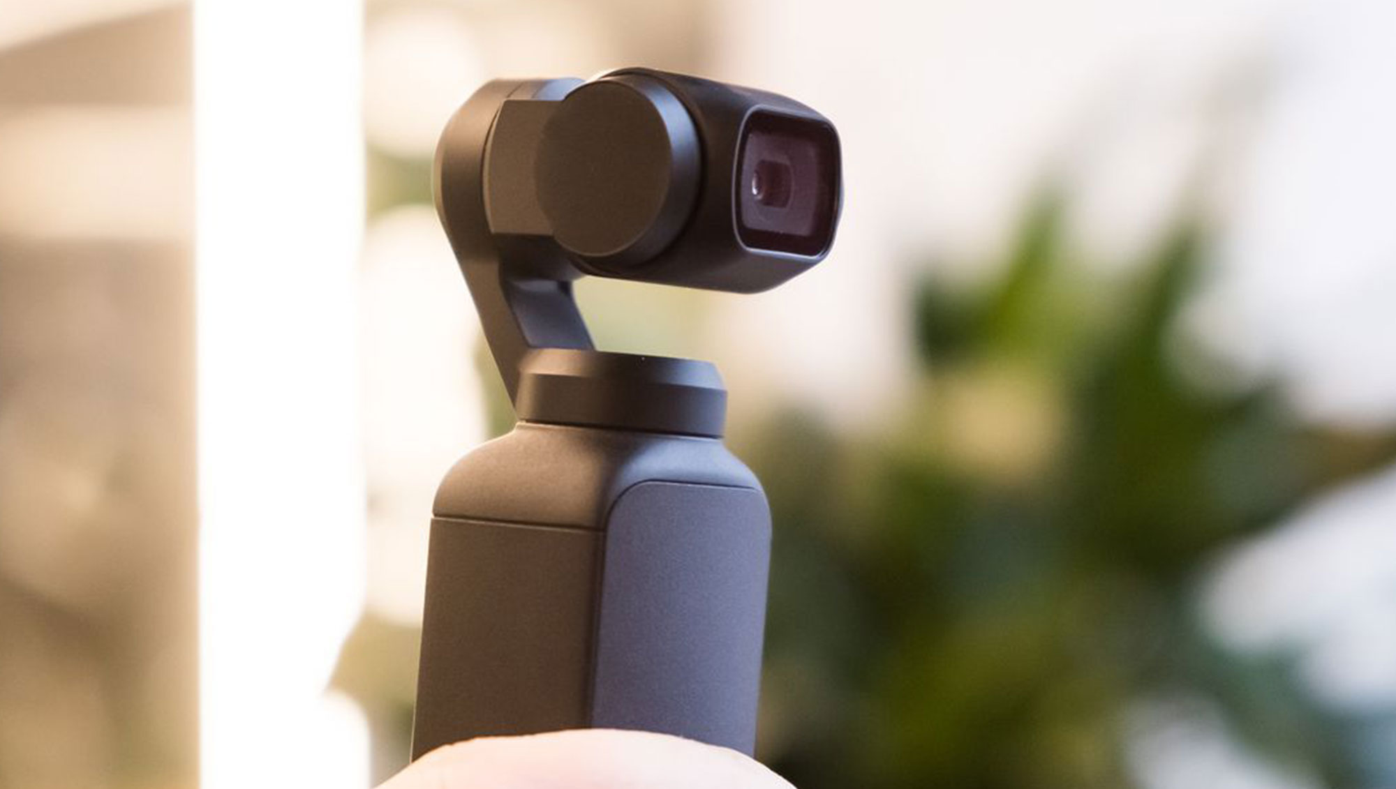 全球Apple Store 变身为艺术画廊 全球Apple Store 变身为艺术画廊