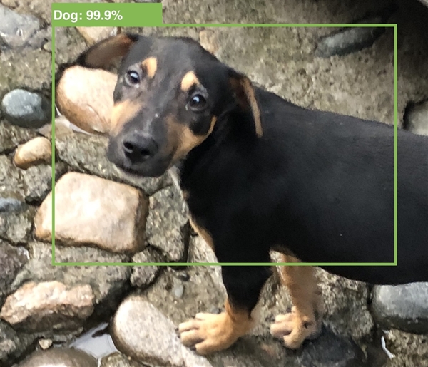 苹果新品 AirPods Studio 功能汇总，预计售价 2400 元左右