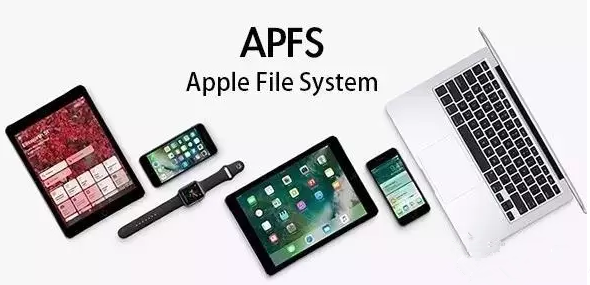 苹果 iPhone SE 4 和 iPhone 17 Slim 渲染视频曝光