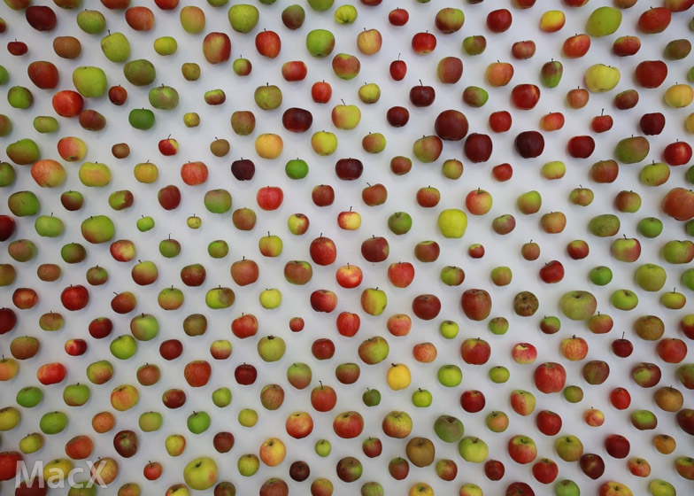 苹果 iPhone 14 发布会 Twitter hashflag 图标 Logo 全新上线