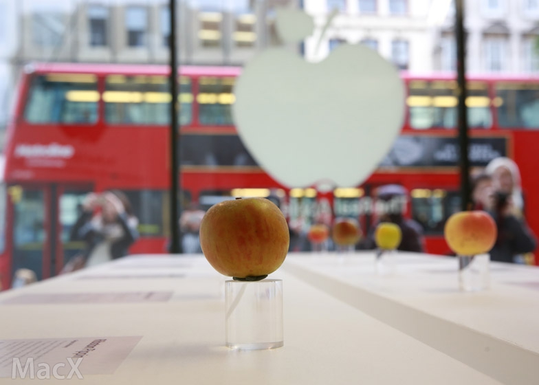 Windows 端 iCloud 出现严重问题：显示陌生人照片