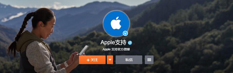 苹果正在摆脱对 iPhone 的依赖,业务向多元化发展